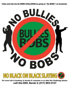 NO BOBS Official Logos